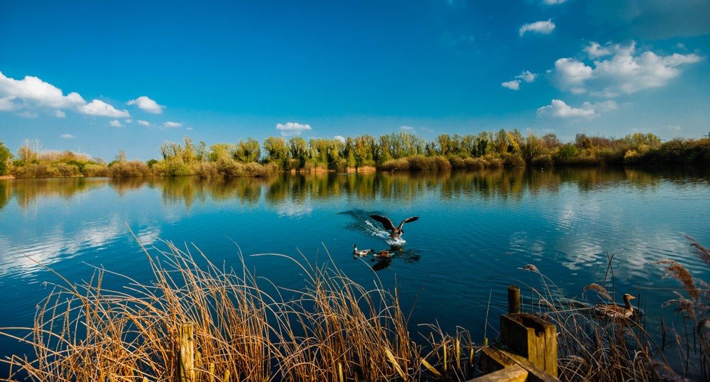 cycle routes Cambridge Milton Country Park