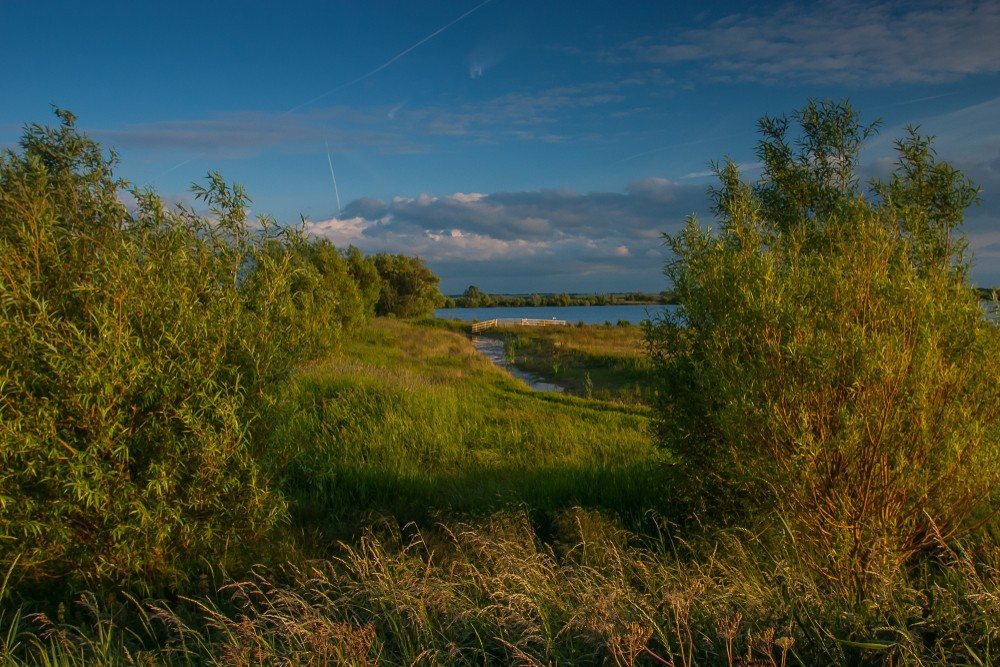 Fen Drayton Lakes