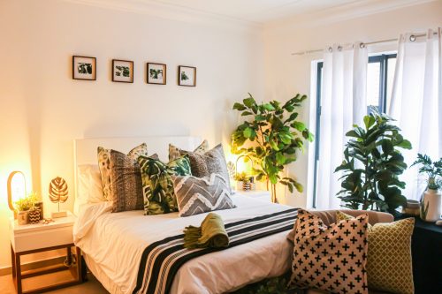 10 Nature-Inspired Room Decor Ideas For Your Student House