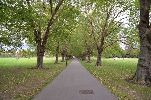 midsummer common