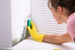 cleaning mould in student home 