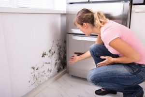 what causes mould 