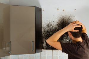 how to get rid of mould in a student home 