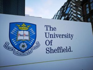 The university of Sheffield board