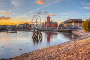 Cardiff 